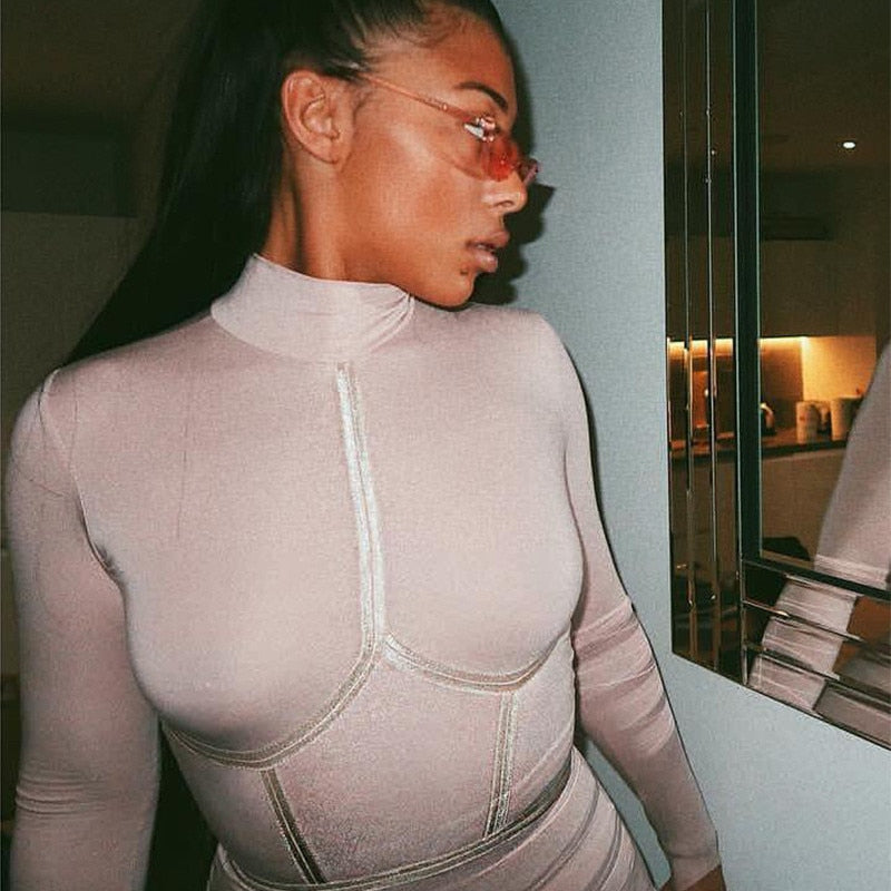 Hugcitar 2019 cotton long sleeve high neck long dress autumn winter women party elegant slim outfits streetwear