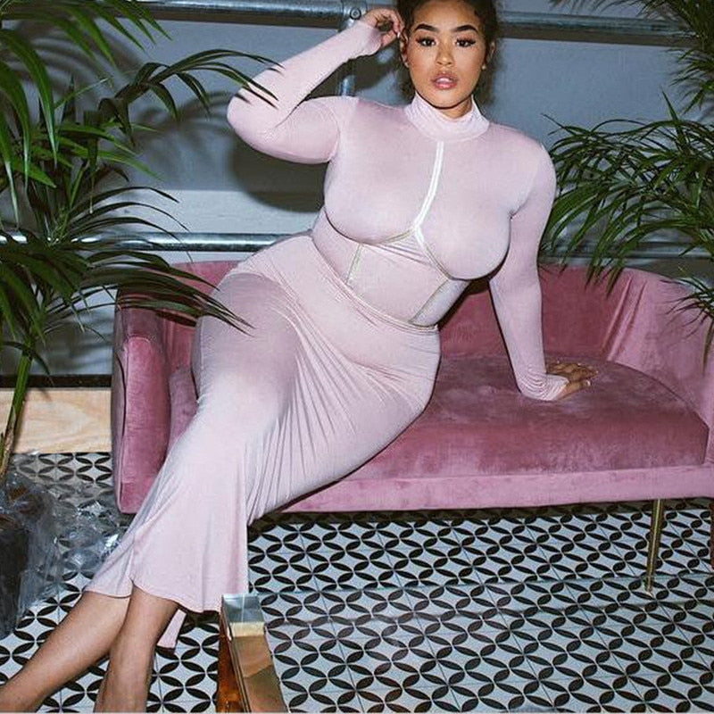 Hugcitar 2019 cotton long sleeve high neck long dress autumn winter women party elegant slim outfits streetwear