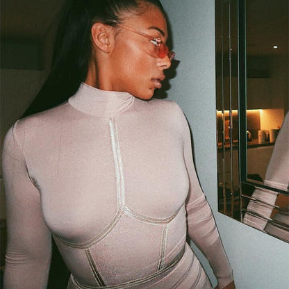 Hugcitar 2019 cotton long sleeve high neck long dress autumn winter women party elegant slim outfits streetwear